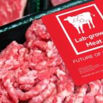 Lab-Grown Beef