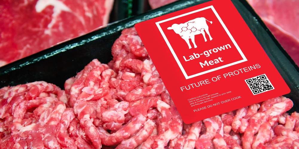 Lab-Grown Beef