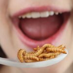 CBS segment pushes insects as 'low-carbon solution to feed animals and the world's population'